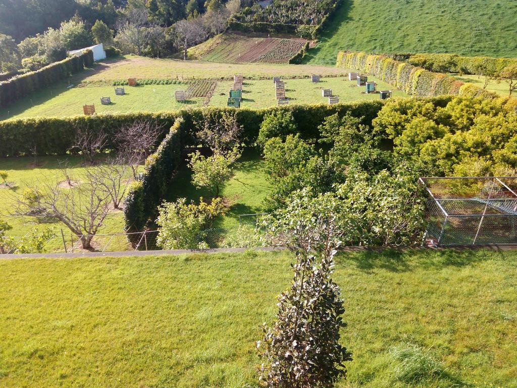 Отель Quinta Do Quarteiro Повоасан Экстерьер фото